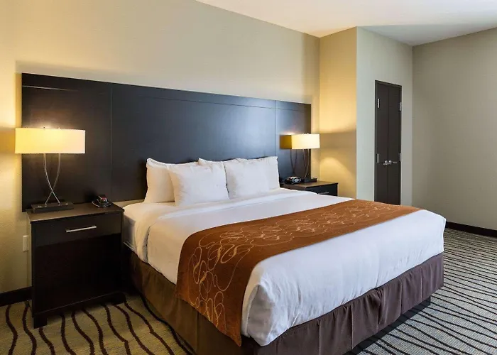 Comfort Suites Near Westchase On Beltway 8