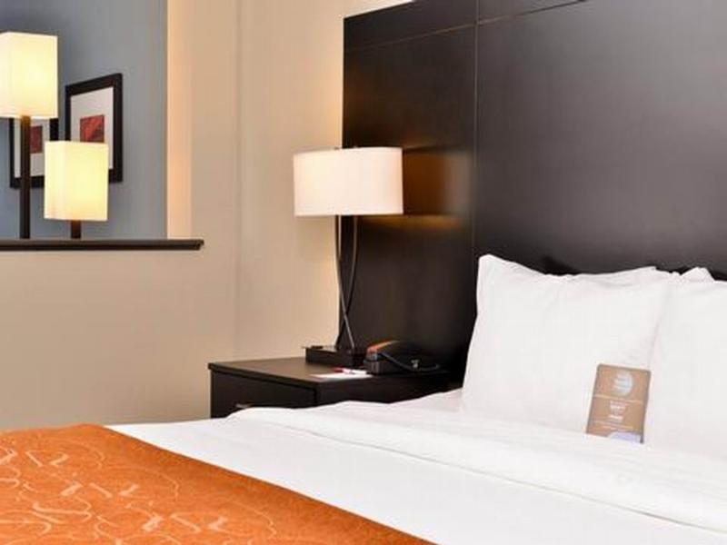 Hotel Comfort Near Westchase On Beltway 8 3*